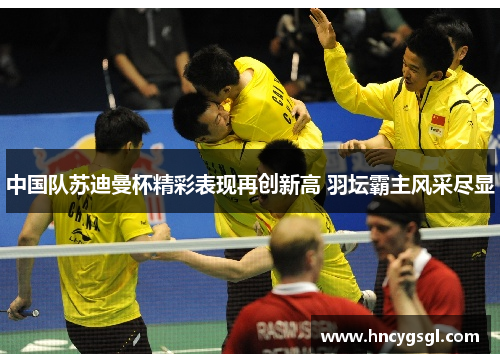 中国队苏迪曼杯精彩表现再创新高 羽坛霸主风采尽显