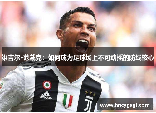 维吉尔·范戴克：如何成为足球场上不可动摇的防线核心
